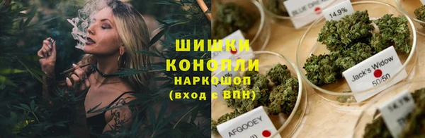 дживик Лабытнанги
