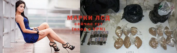 тгк Лагань