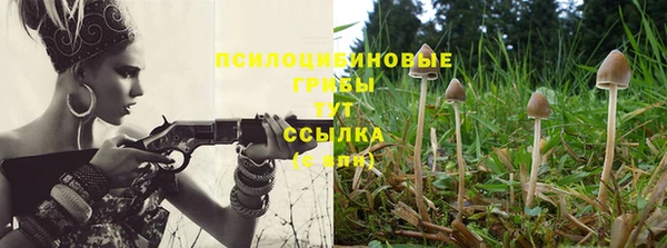 COCAINE Кукмор