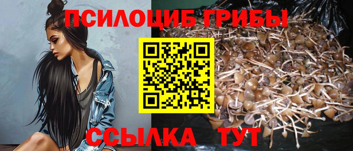 Лсд 25 Курск