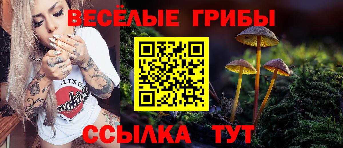 Псилоцибиновые грибы Psilocybe Курск