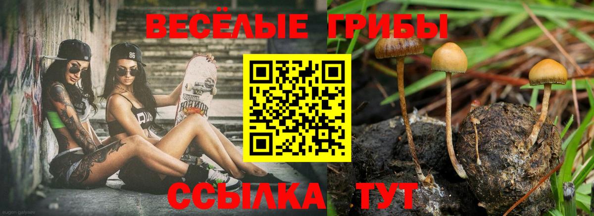Псилоцибиновые грибы GOLDEN TEACHER Курск